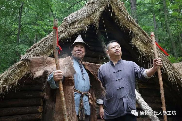 长白山挖参人发现160年老山参,长白山挖参故事