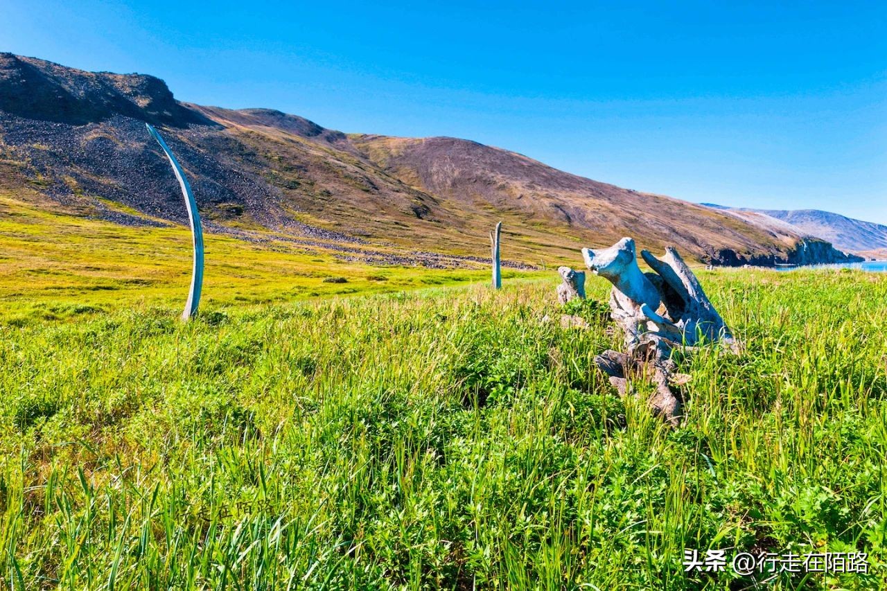 被老外忽悠的因纽特人,因纽特人被忽悠拍摄