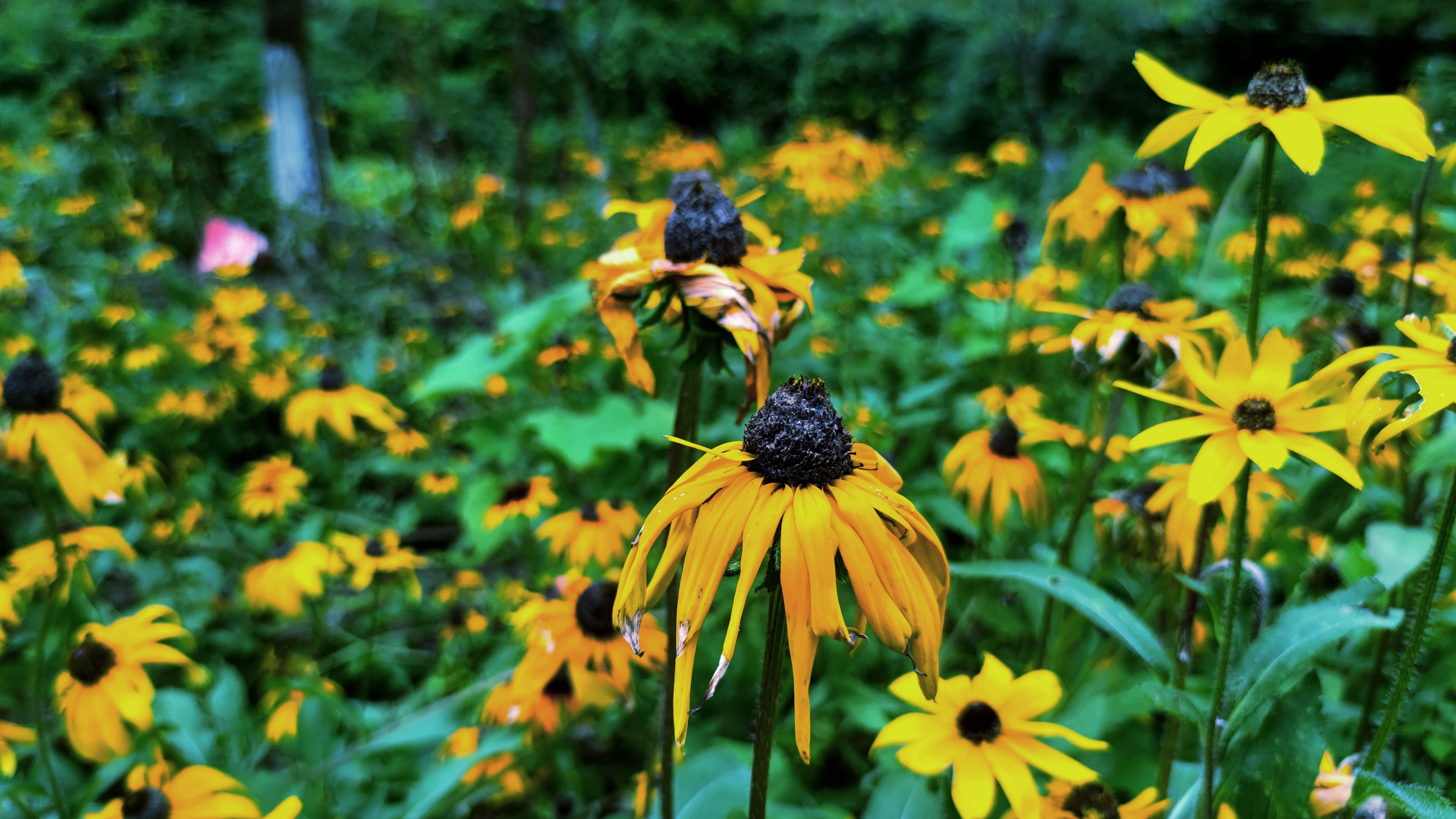 商业化不可持续,商业化少了文化氛围