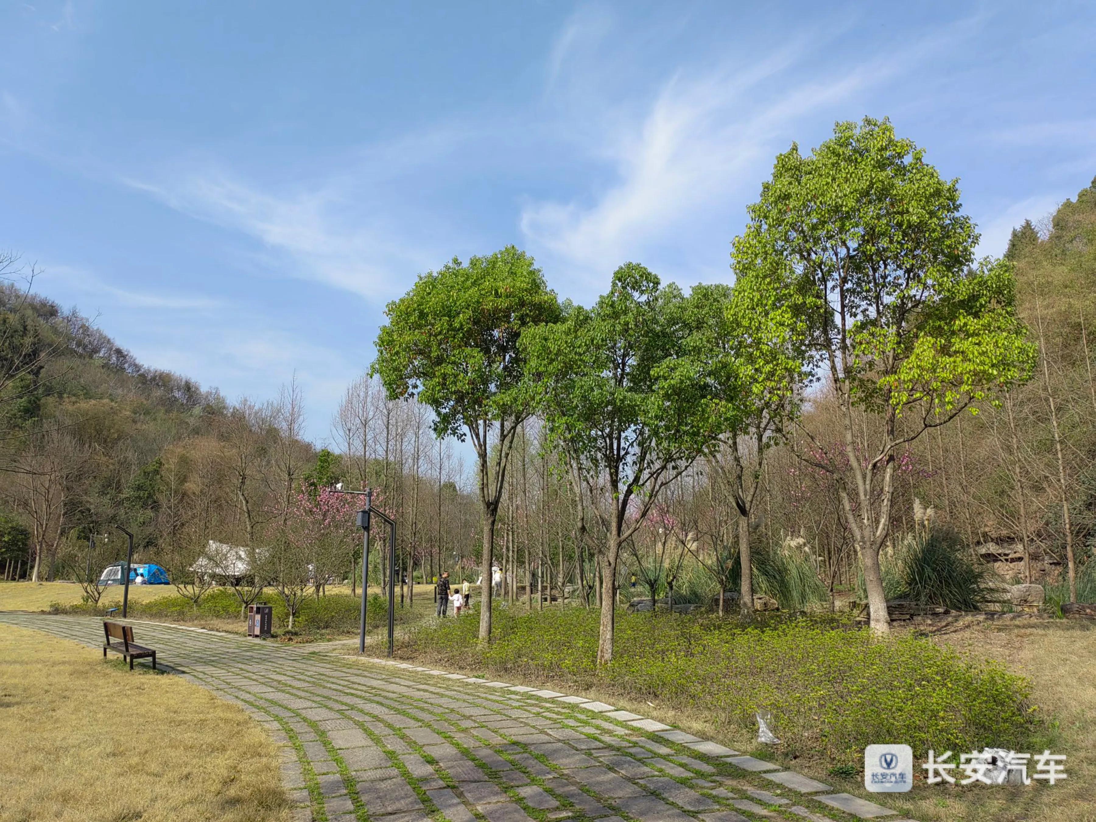 家用车首选2023,家用车首选