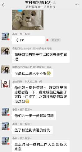 建宠物方舱,疫情期间深圳给宠物建方舱