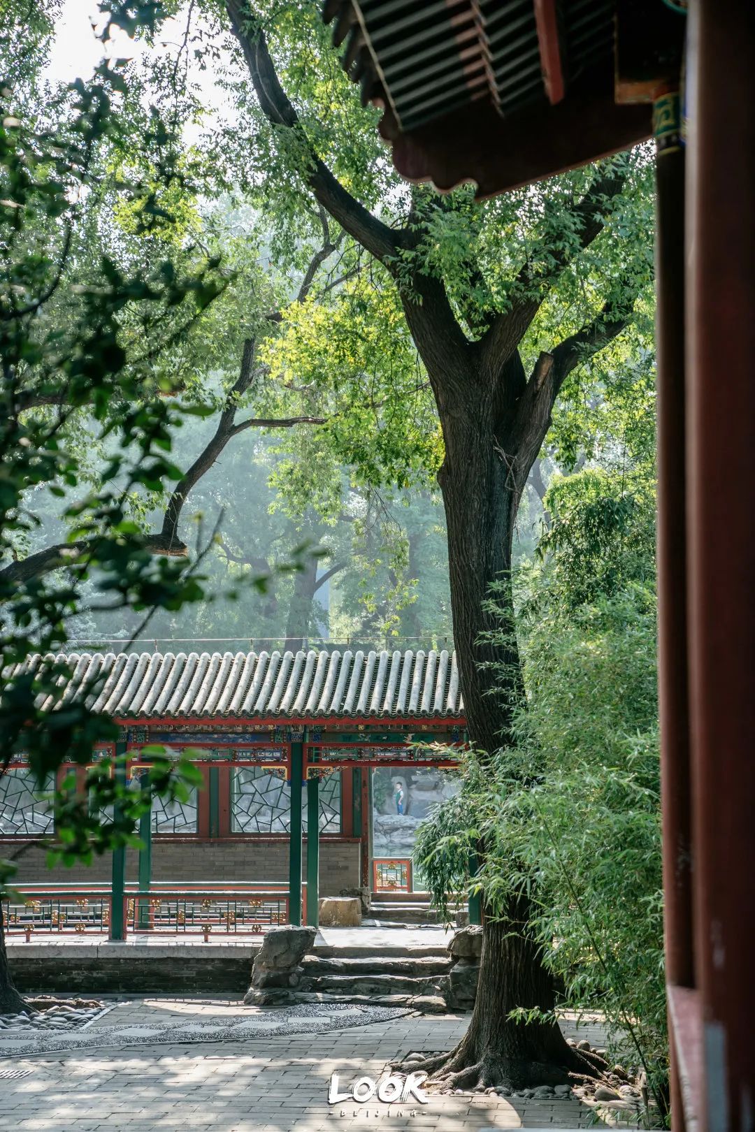 北京什刹海赏景的好地方,北京什刹海附近攻略
