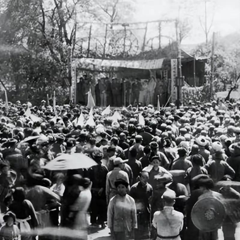 湘西剿匪记全纪实,真实湘西剿匪纪实