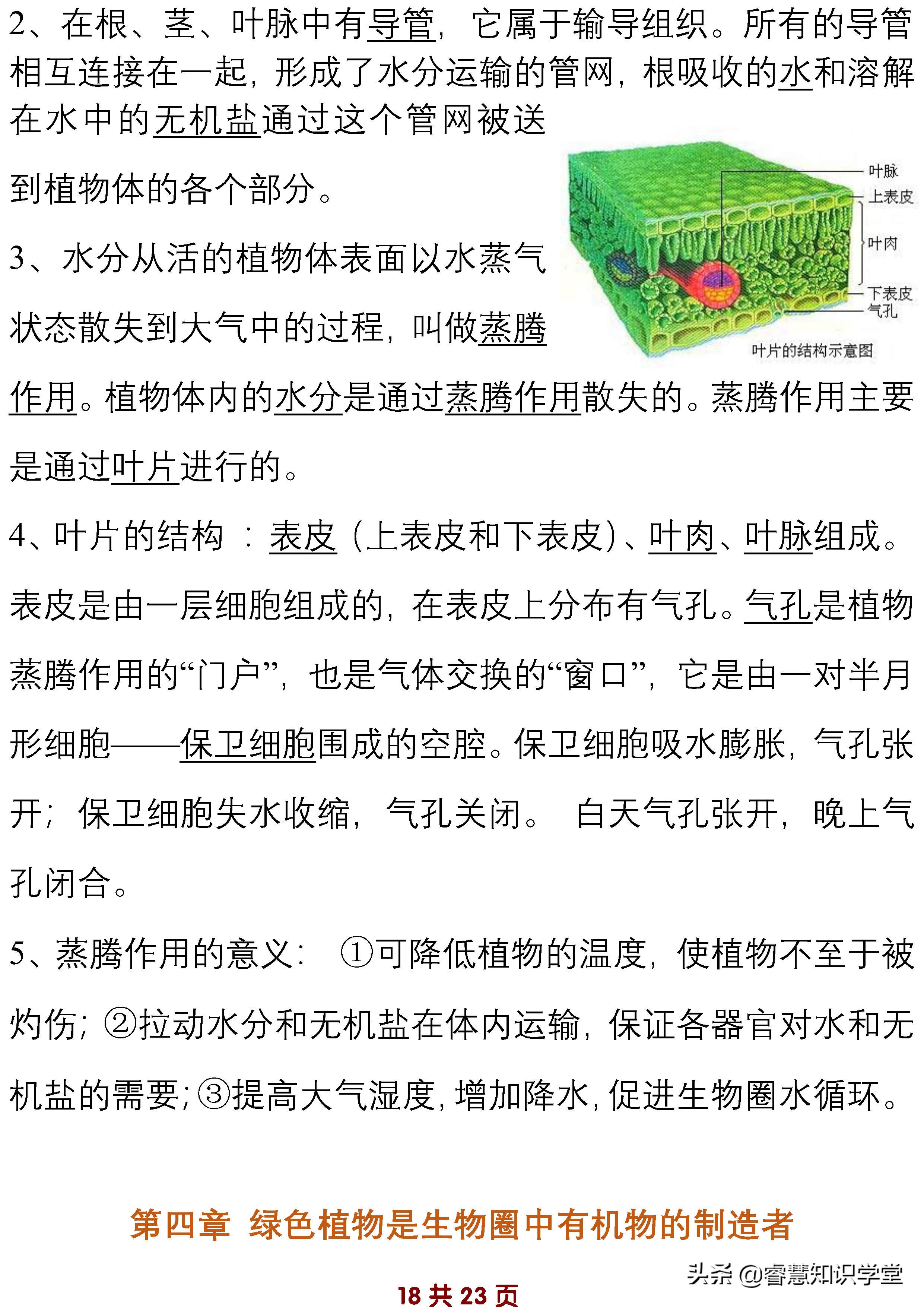 初中七年级生物知识点归纳总结,七年级上下册生物必考知识点