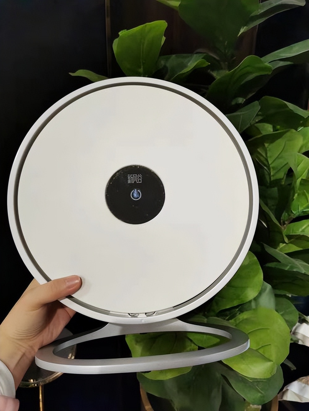 空气净化器除甲醛真的有用吗,央视推荐的除甲醛空气净化器