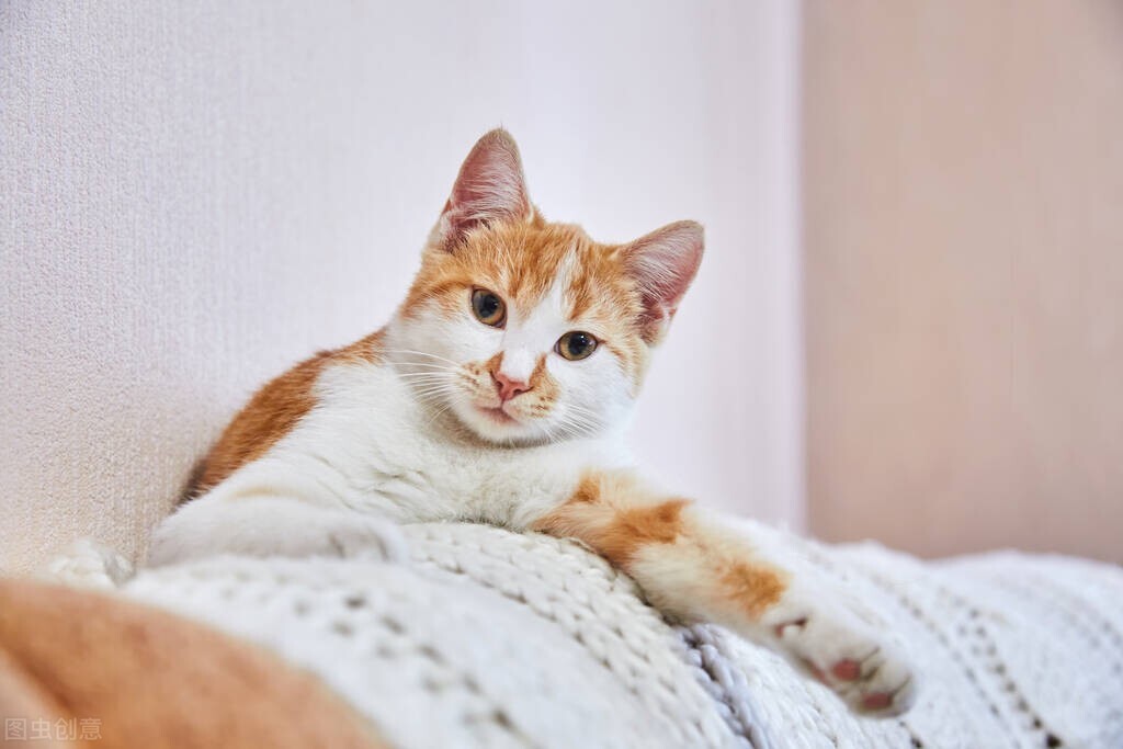 我拿命生下女儿,婆婆却把姑姐的孩子过继给我们,让人心寒