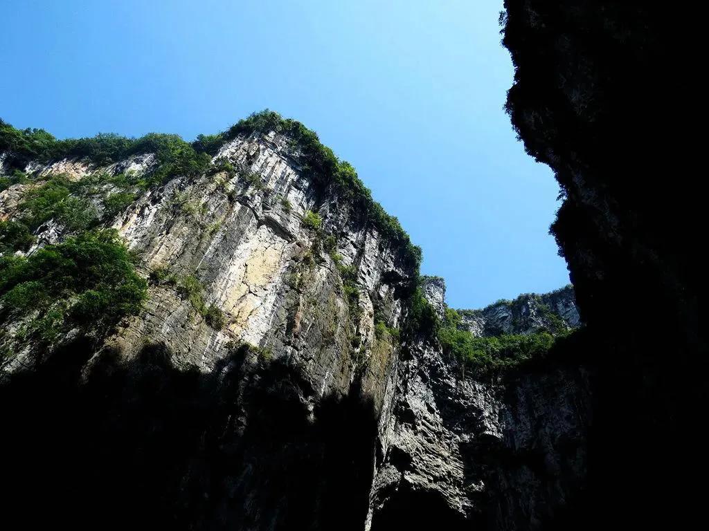 碧峰峡自然遗产大熊猫栖息地,世界自然遗产中国大熊猫栖息地