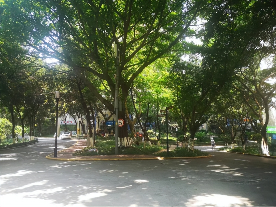 重庆房地产开发商破产,重庆某开发商被追债