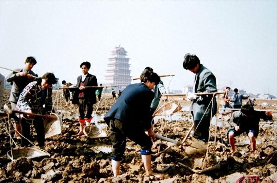 吴仁宝去世的原因,吴仁宝去世采访