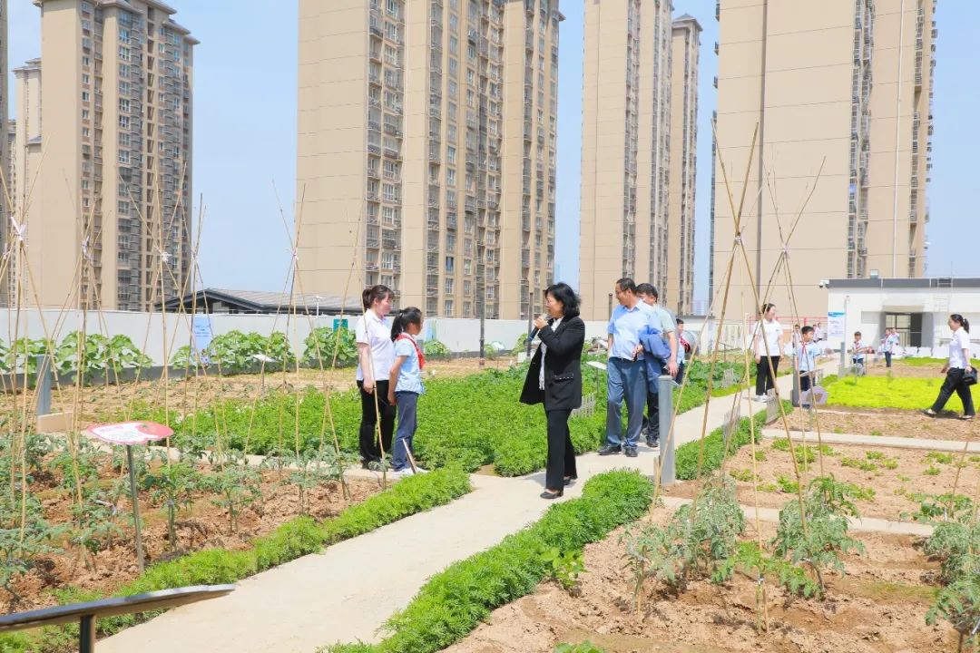让美好继续让教育更好地发生丨西安高新区第十一小学办学成果展