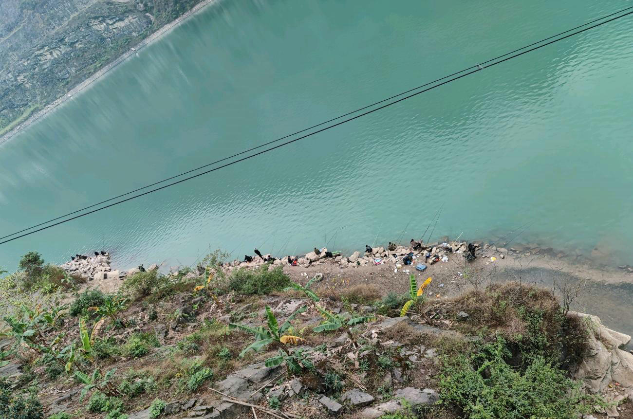 一天钓鱼一两百斤！这些金沙江的钓鱼人过了瘾，也招来骂声