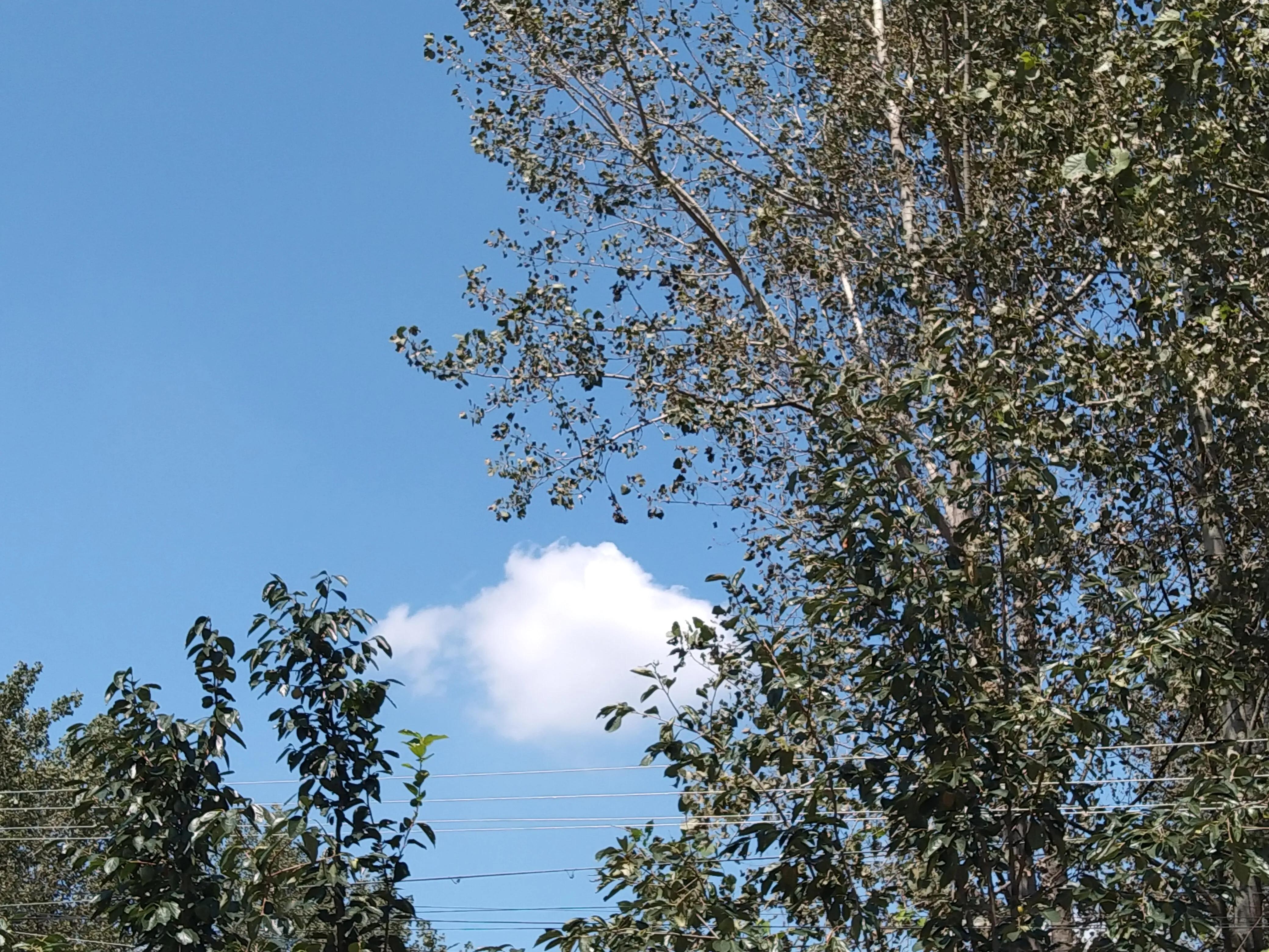 云的遐想,云的遐想视频素材