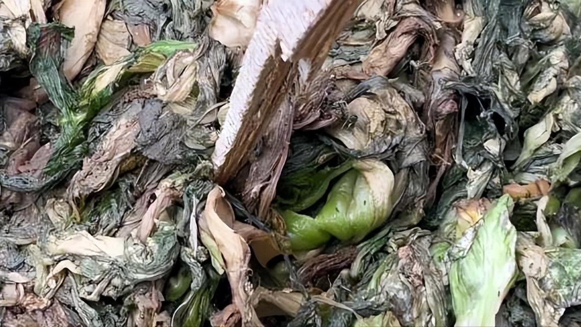 瓶装橄榄菜有什么危害,橄榄菜安全事件