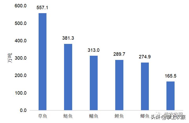 昆明罗非鱼批发多少钱一斤,武汉罗非鱼批发多少钱一斤
