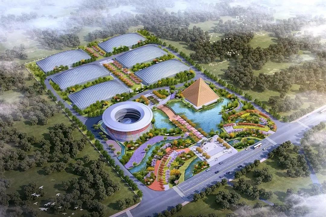 雾培蔬菜种植技术视频,在家水培蔬菜水果种植技术