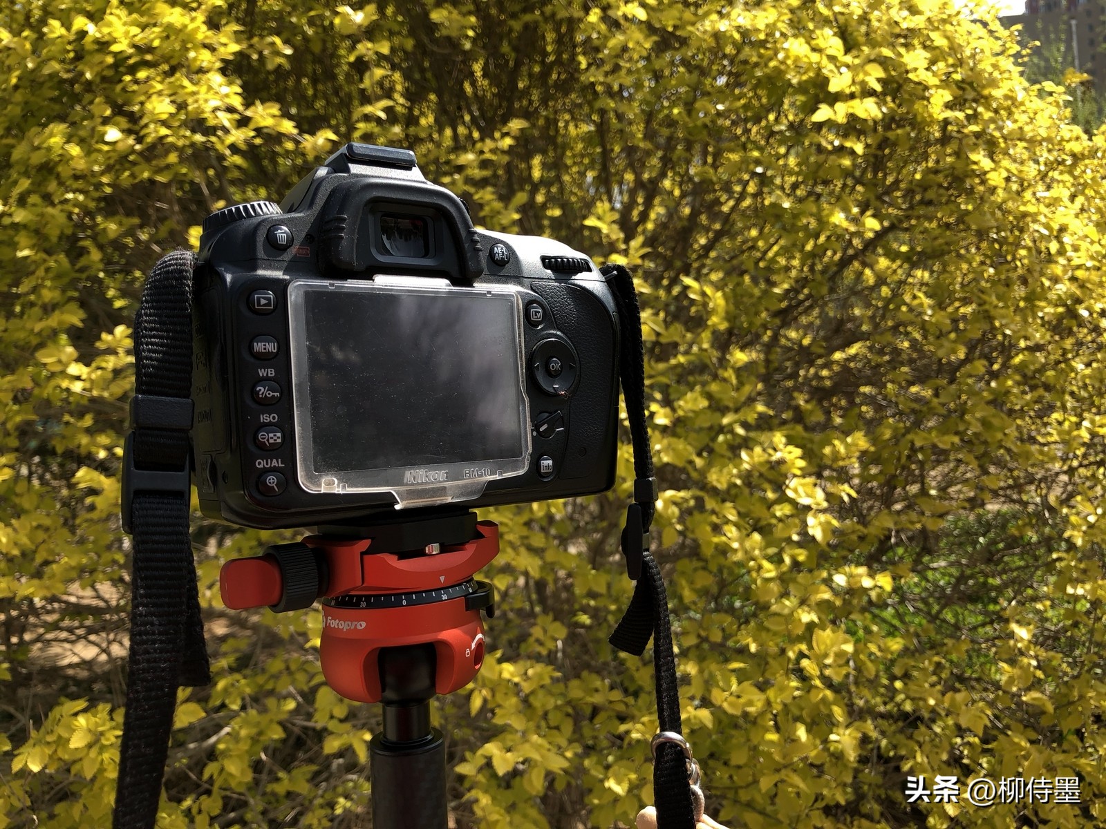 瀵屽浘瀹濋琛屼竴鍙穠ideomax鐏拌壊,鎵嬫満鐩告満閮借兘鐢ㄧ殑闀滃ご