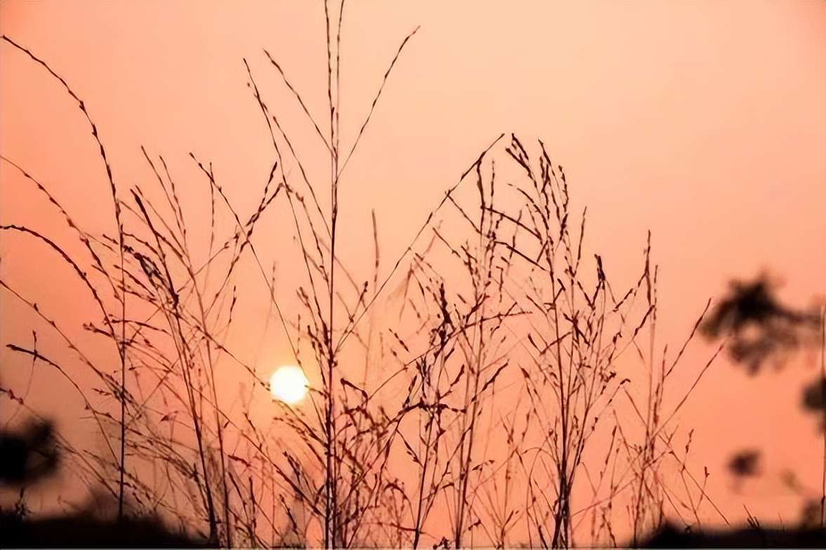 厦门秋天的夜,厦门秋天的夕阳