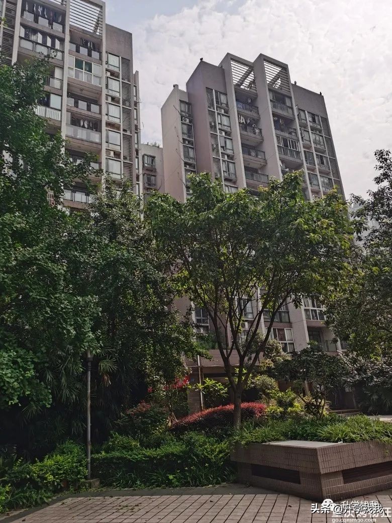 陪读房三室两厅一卫租金1300,潍坊一中附近陪读租房租金多少