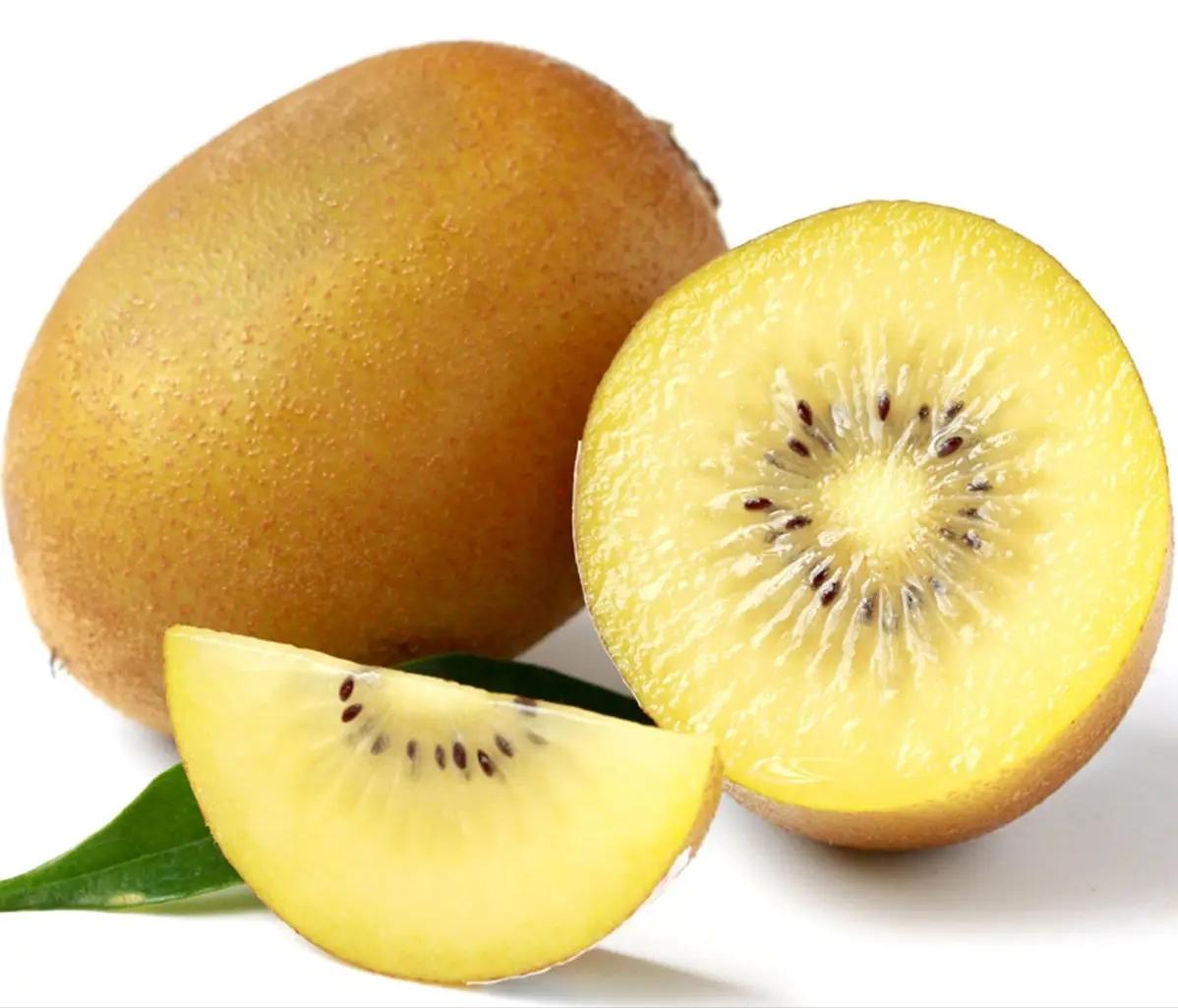 猕猴桃是什么季节水果,软枣猕猴桃是什么水果