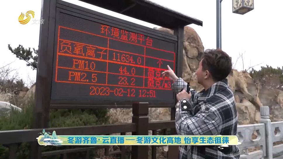 冬游齐鲁,冬游齐鲁泰安