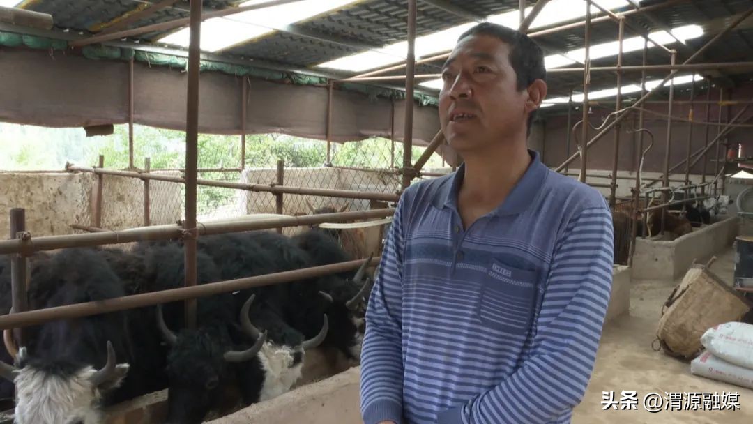 三抓三促行动取得了哪些成效,一图读懂三抓三促行动实施方案