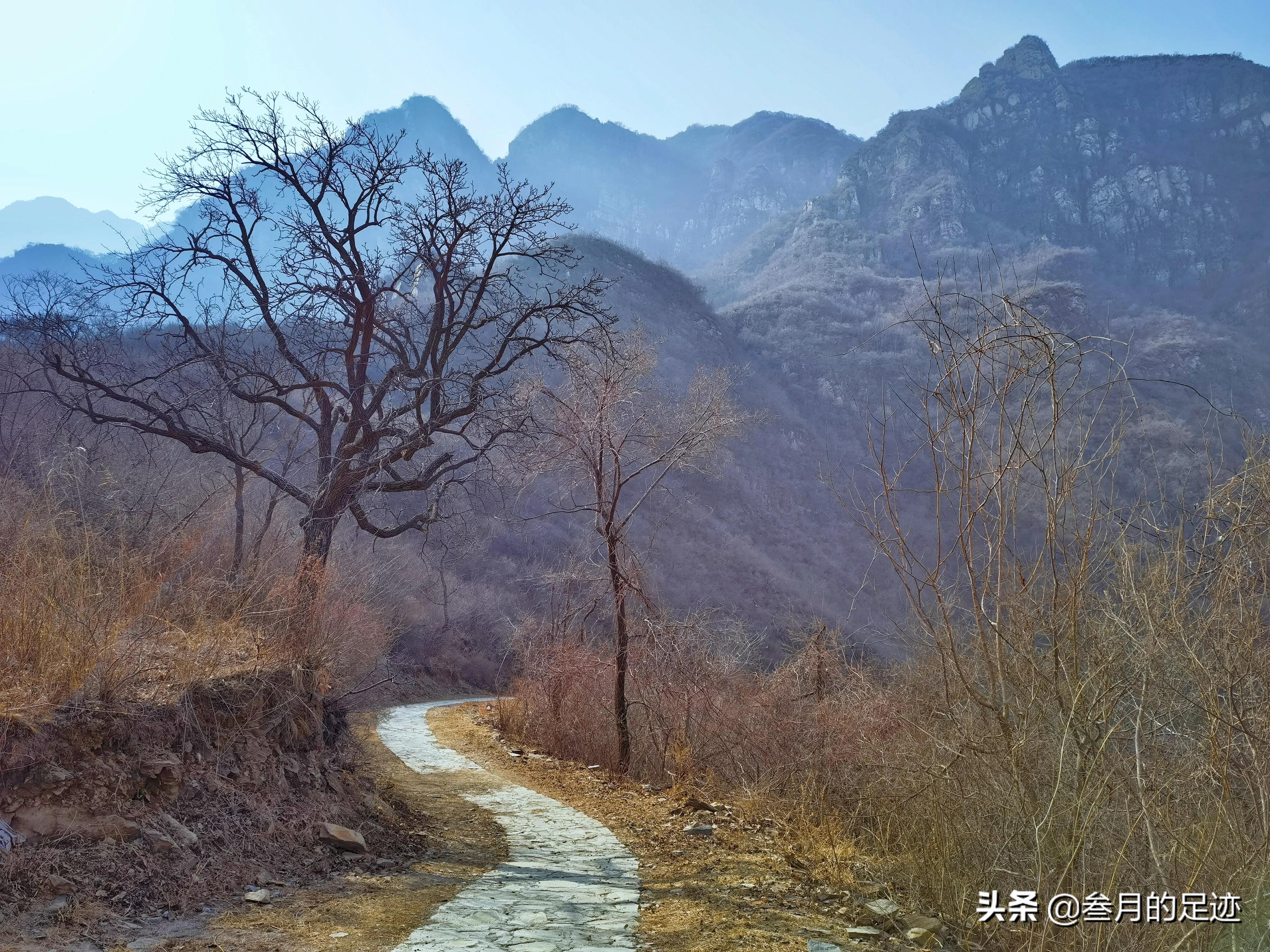 北京房山现在蒲洼梯田赏花,房山大安山梯田观景台