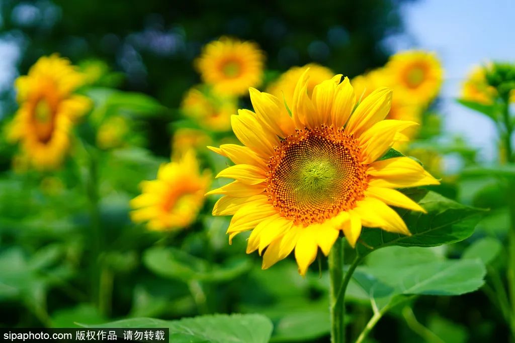 北京户外公园,北京周末好去处户外