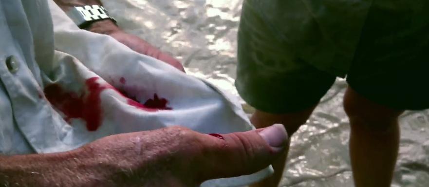 打捞巨型魟鱼,巨大魟鱼