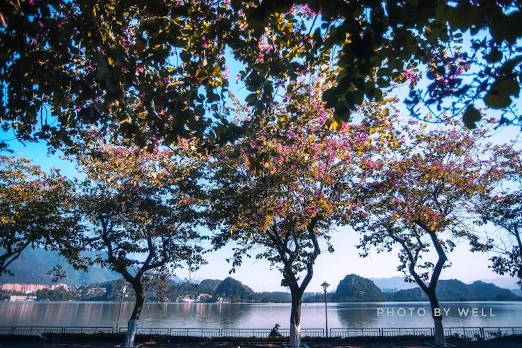 肇庆星湖岩前村,肇庆岩前村附近两日游攻略