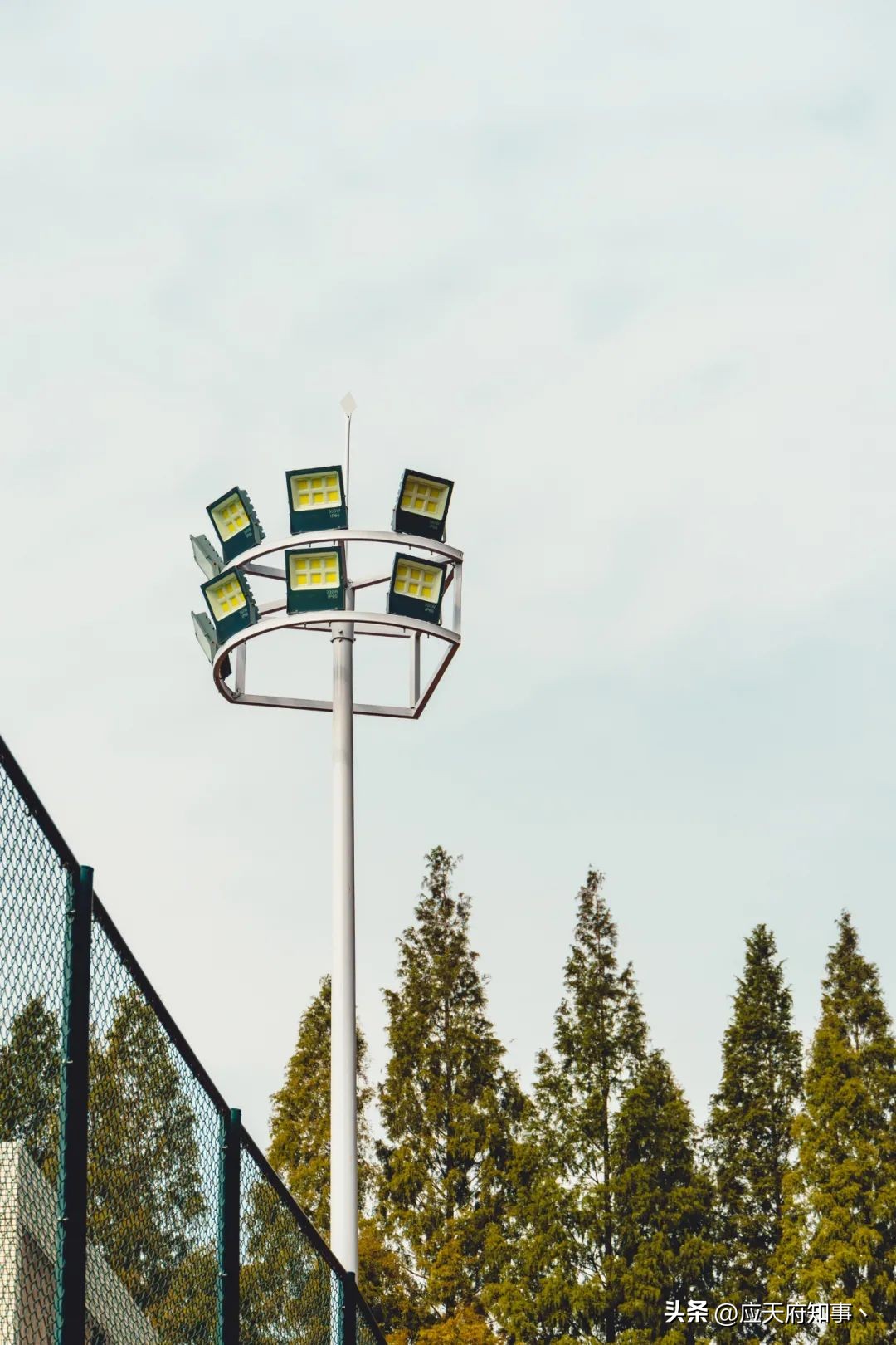 南京板仓街规划图,南京板仓街属于哪个区