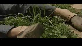 走近科学怀孕男子,重庆男子意外怀孕之谜