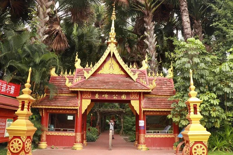 云南西双版纳旅游攻略app,云南西双版纳旅游攻略自由行12月