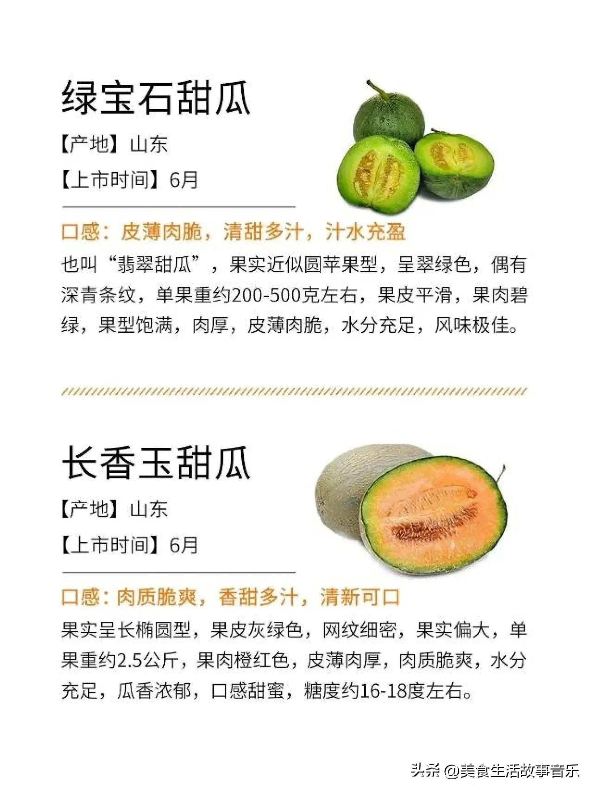 甜瓜熟度最好的品种,甜瓜品种科普图解