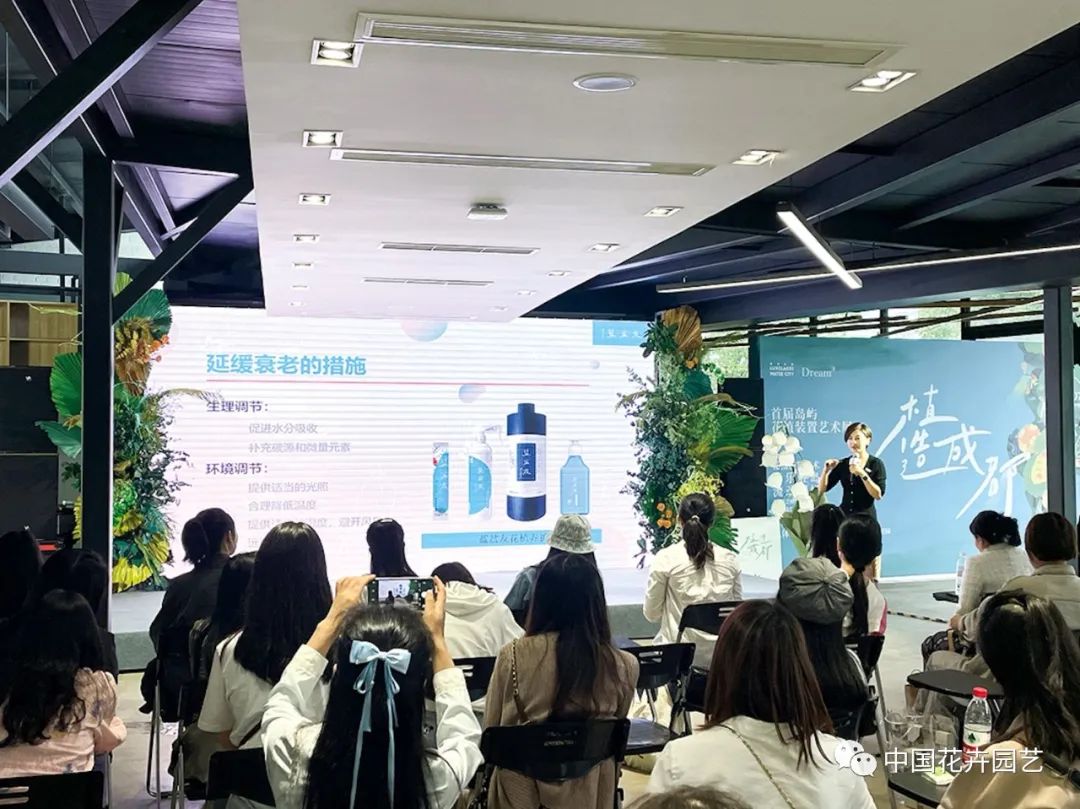 “蓝盆友”送给花朵的新春礼物|“花·礼”专题