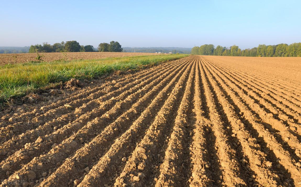 是不是每个农民都有自己宅基地,农田和宅基地的区别