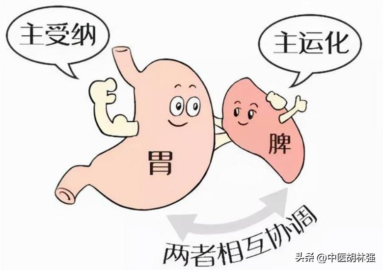 脾胃虚寒吃健脾丸还是逍遥丸,脾胃不好适合吃哪种逍遥丸