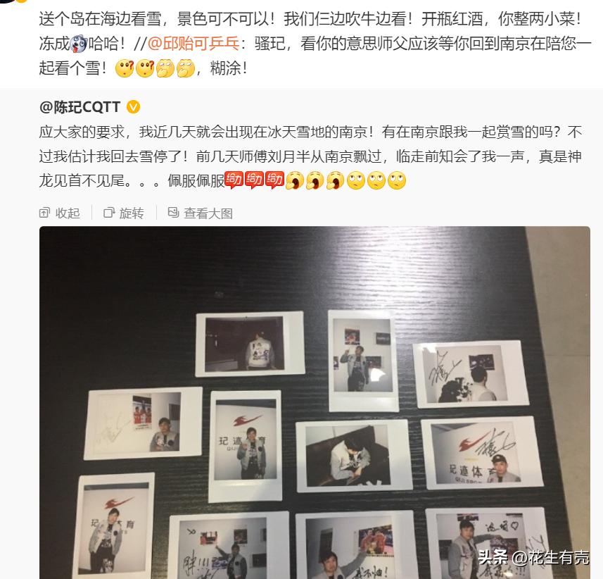 陈玘为什么力挺刘国梁,国乒对杀神陈玘的评价