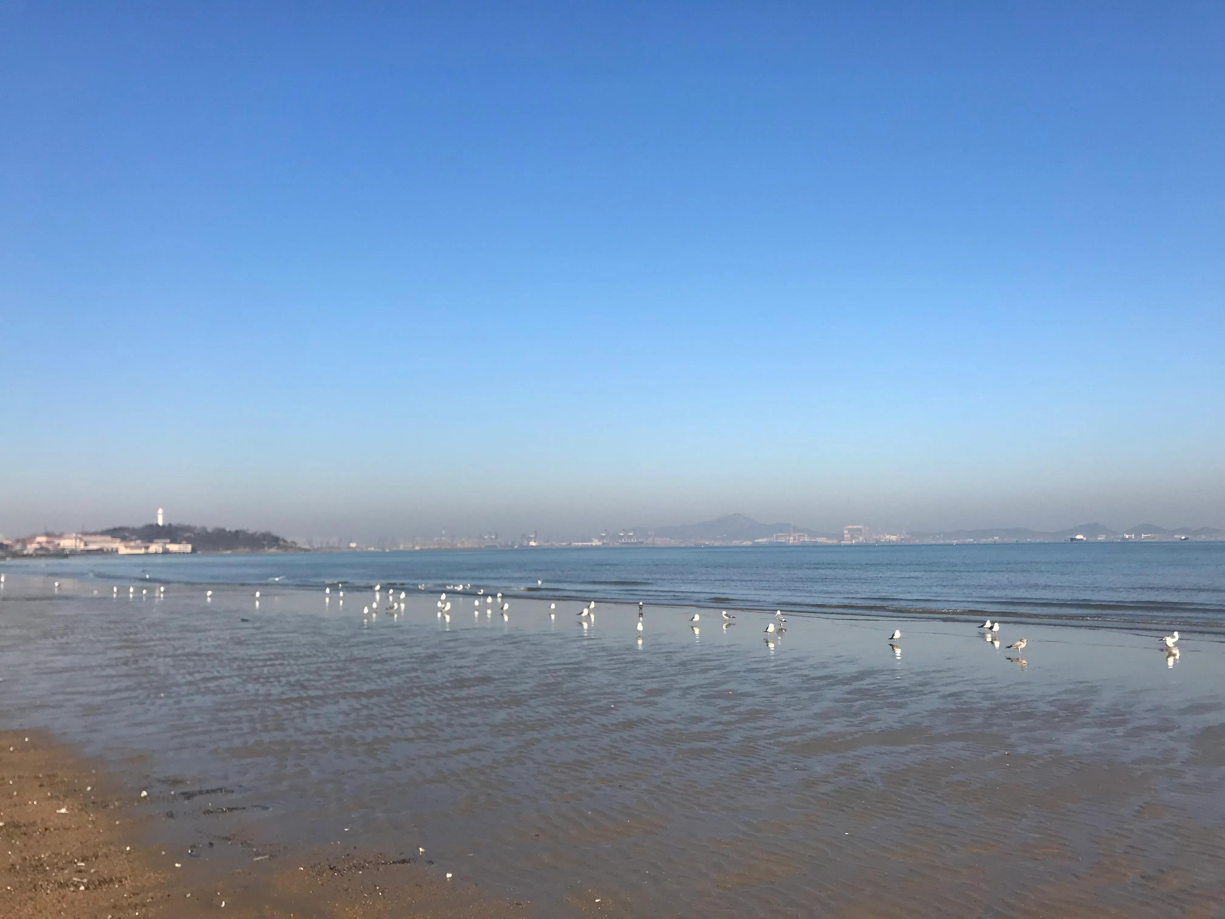 烟台的海水清澈吗,烟台的海和威海的海哪个好