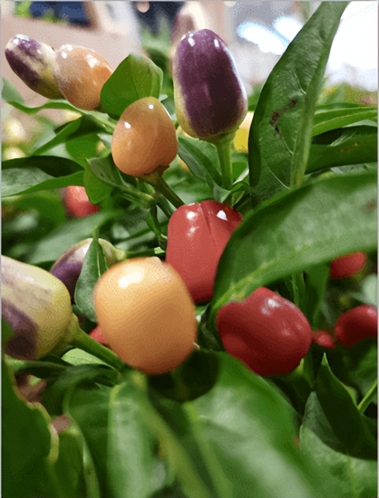 爱情说说唯美句子,朋友圈唯美爱情感悟的句子