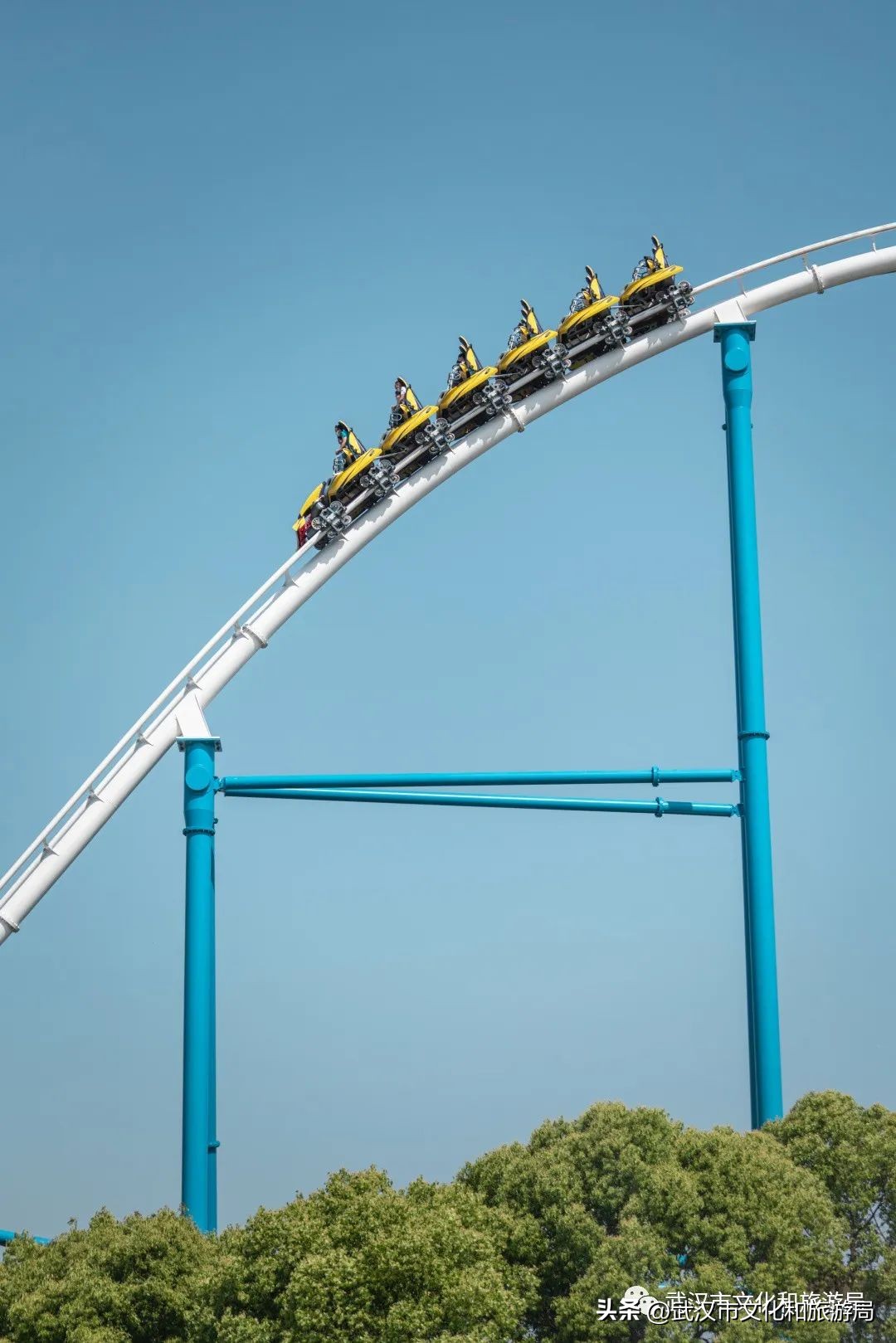 梦时代准备,炉鱼来了梦时代电话