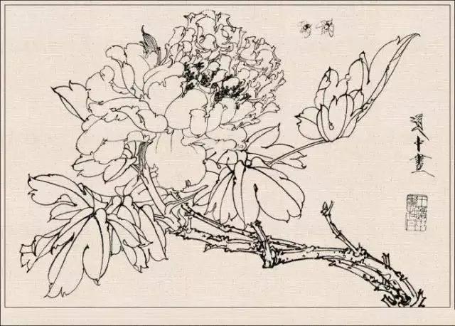 工笔草虫白描王道中,写意花鸟画草虫绘画过程分享