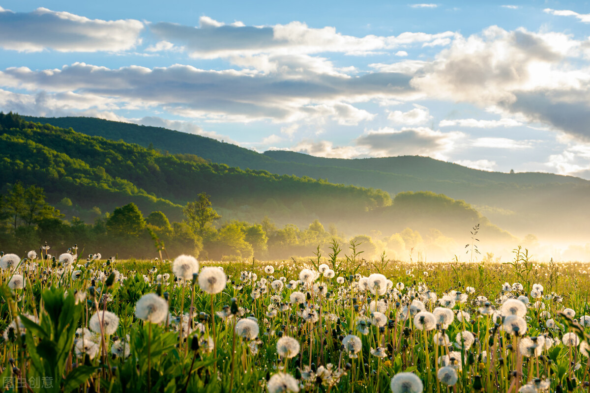 现在出国务工的前景怎么样,出国打工什么工作吃香