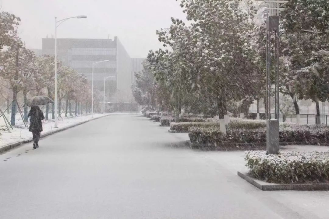 抑郁博士生通宵十夜写论文晕厥,抑郁博士生