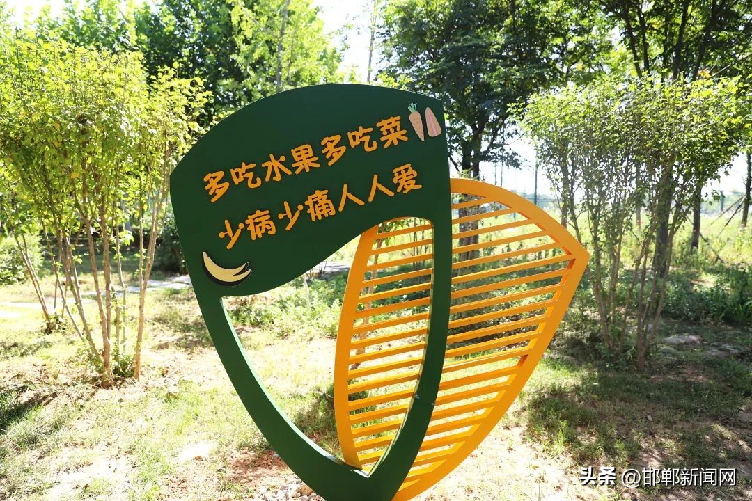 峰峰网红打卡地,寓教于玩幼儿园