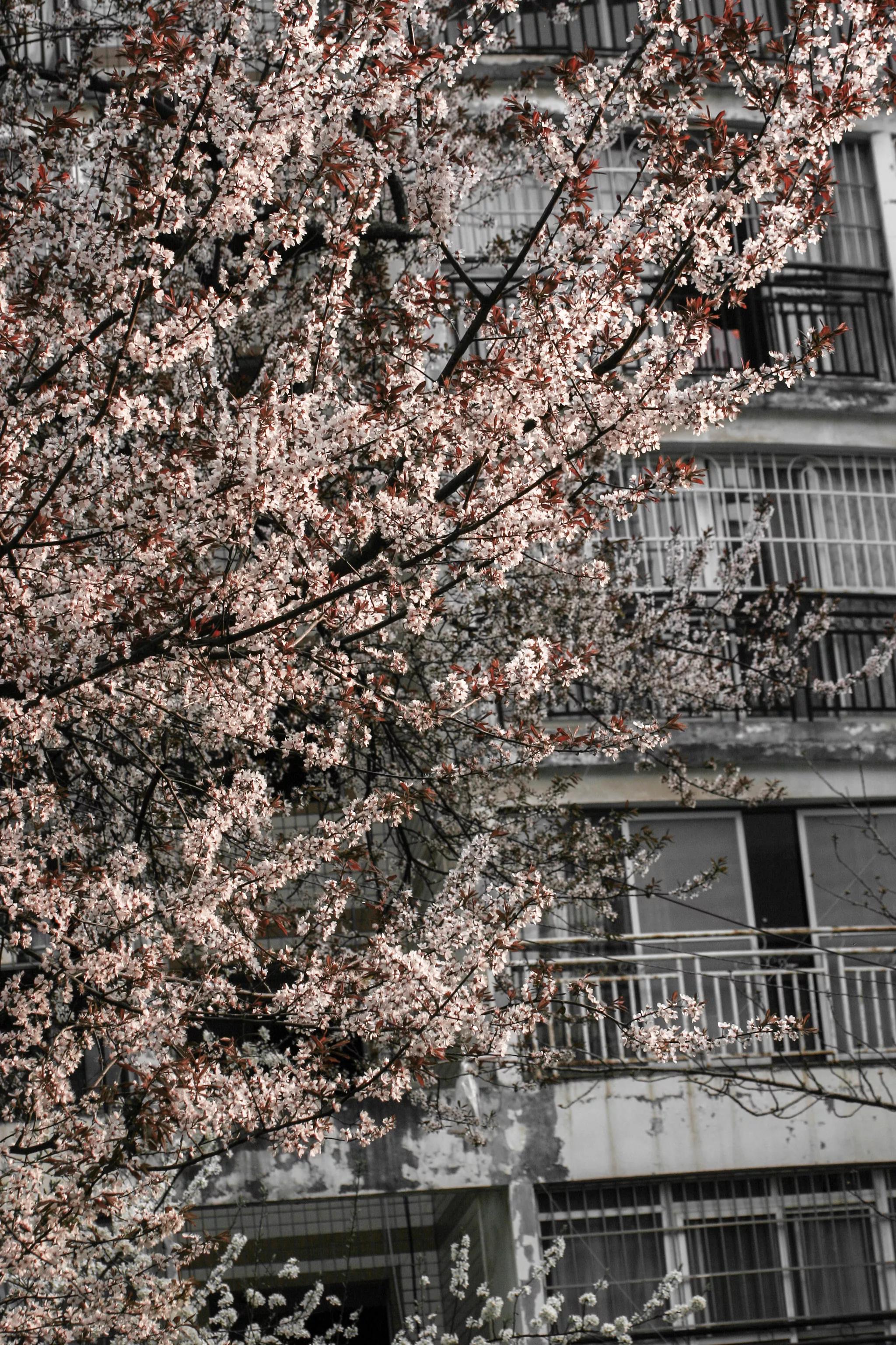 佳能入门机器能拍出好照片,佳能300d入门级