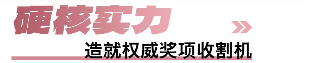 中国上半年汽车出口超日本,中国汽车今年出口有望突破450万辆