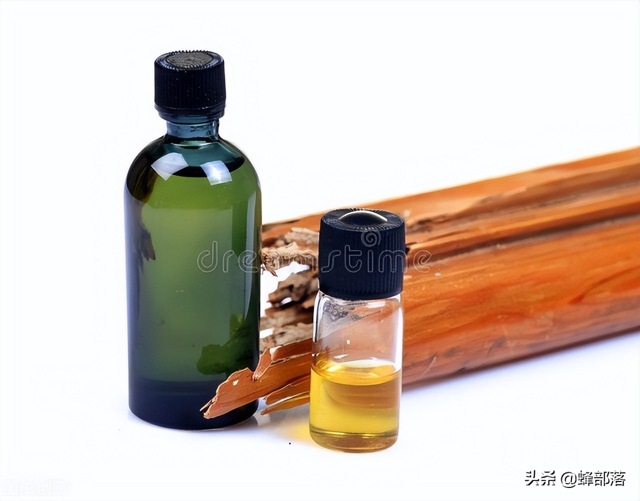 广州白蚁为什么那么多如何灭白蚁,中国的白蚁是从哪里来