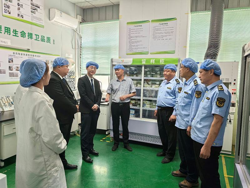 监管引导+“四化”驱动赋能学校食材闭环供应新模式提质提效