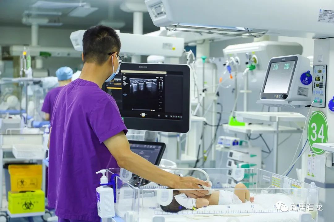 长颈鹿医院官网,长颈鹿医院看病