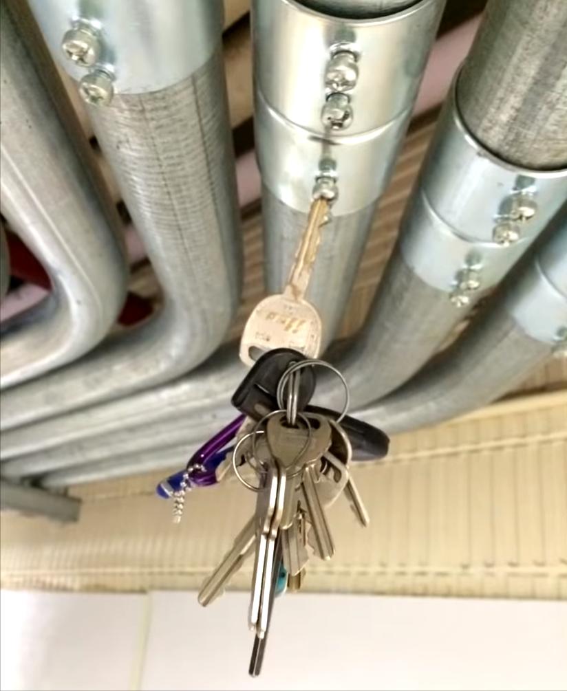 20张让人开怀大笑的猫咪照片,100张有趣猫咪照